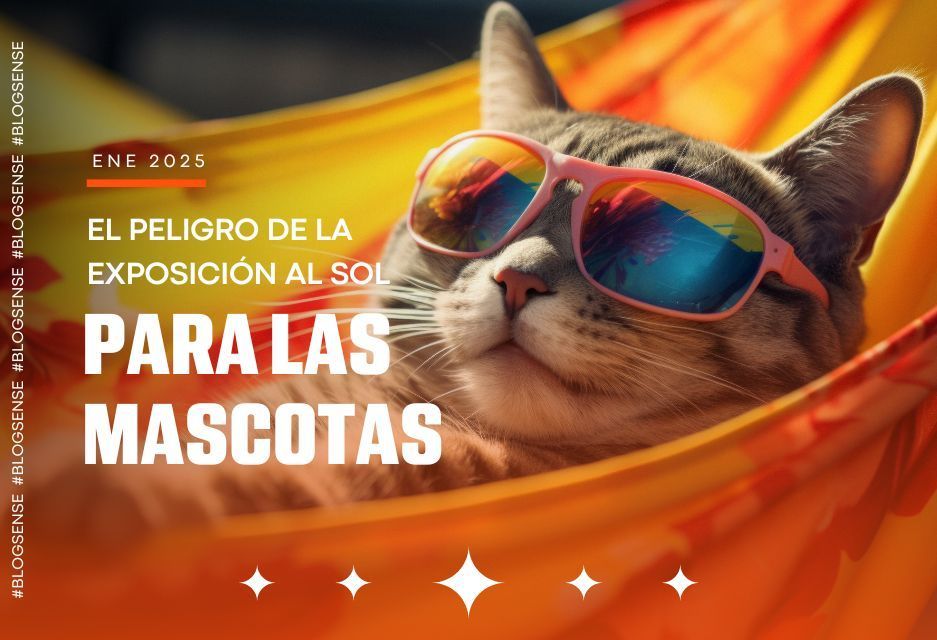 El peligro de la exposición al sol para las mascotas